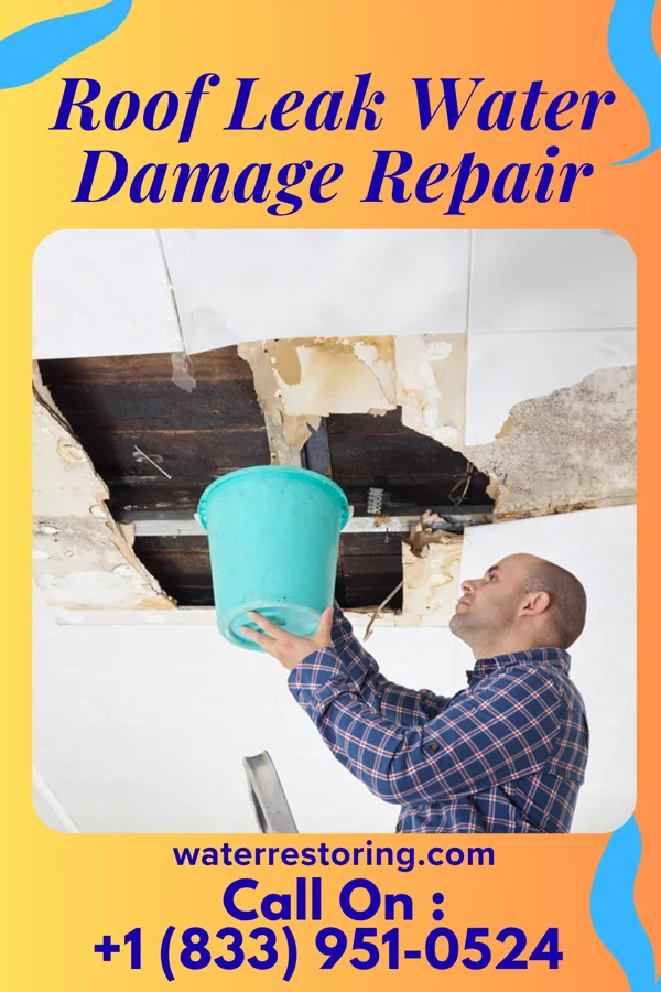 Roof Leak Water Damage Repair in Greensburg, KS