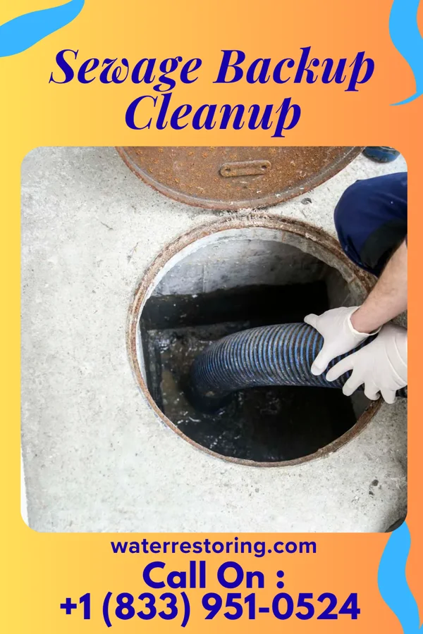 Sewage Backup Cleanup in Greensburg, KS